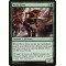 Wood Elves