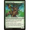 Ambassador Oak
