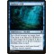 Aquitect's Will