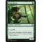 Elvish Mystic