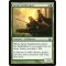 Saruli Gatekeepers