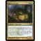 Species Gorger