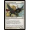 Freewind Equenaut