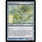 Silkwing Scout