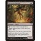 Entropic Eidolon