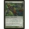 Simic Initiate