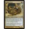 Coiling Oracle