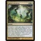 Vigean Intuition