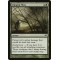 Clinging Mists