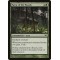Favor of the Woods