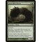 Gravetiller Wurm