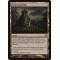 Evolving Wilds