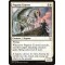 Pegasus Courser