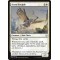 Serra Disciple