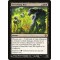 Shriveling Rot
