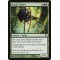 Tangle Spider