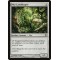 Myr Landshaper