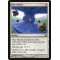 Myr Matrix