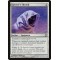 Specter's Shroud