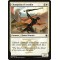 Champion of Arashin