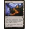 Evolving Wilds