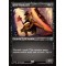 Iron-Shield Elf
