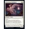Mysterious Pathlighter