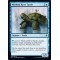 Mistford River Turtle