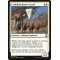 Coalition Honor Guard