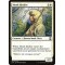 Monk Idealist