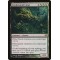 Creakwood Liege