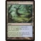 Flooded Grove
