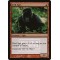 Kird Ape