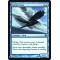 Storm Crow