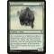 Feral Krushok