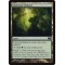Llanowar Reborn