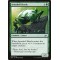 Ironshell Beetle