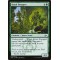 Kraul Foragers