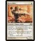 Boros Elite