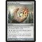 Prophetic Prism