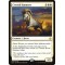 Crested Sunmare
