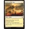 Desert of the True