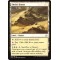 Shefet Dunes