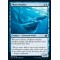Phase Dolphin