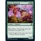 Honey Mammoth