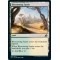 Blossoming Sands