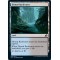 Dismal Backwater