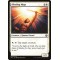 Blinding Mage