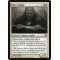 Elder Cathar