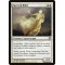 Spectral Rider